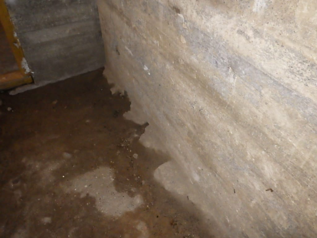 kostea kellari kuivaksi